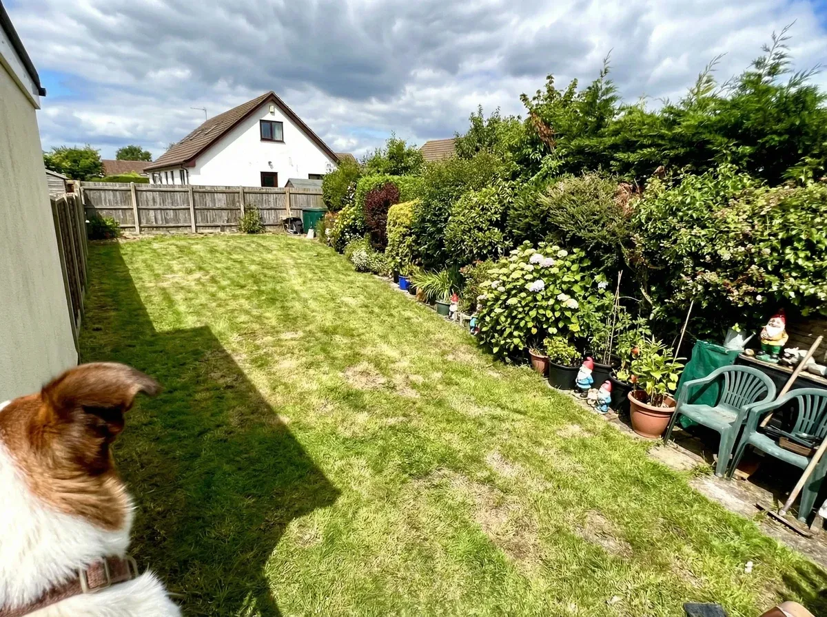 Garten mit Rasenfläche und dicht bepflanztem Rand vor der Poolgestaltung.